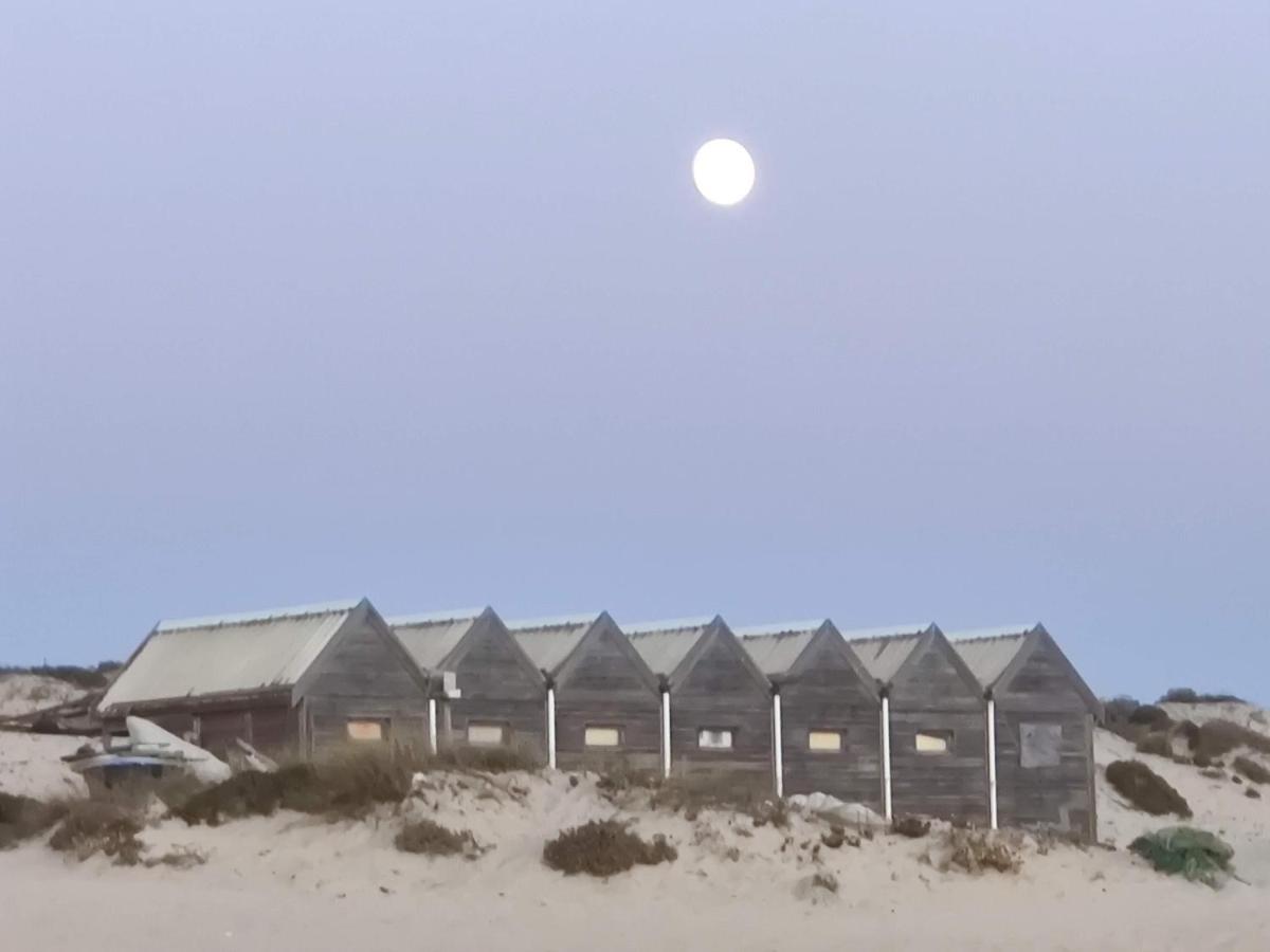 Casa Da Duna, Carvalhal, Comporta 卡瓦利亚尔 外观 照片